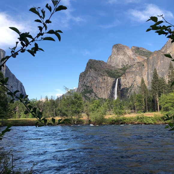 Meet your Posher, Jennifer - Picture 1 of 1